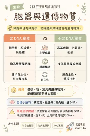 AI 記憶小卡