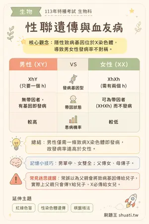 AI 記憶小卡