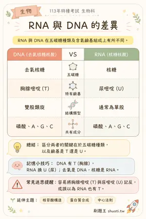 AI 記憶小卡