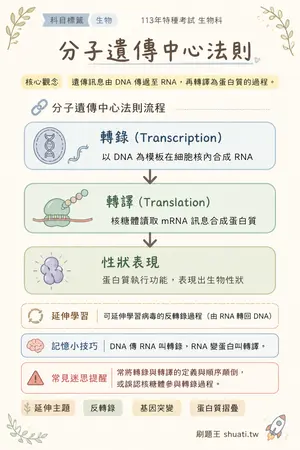 AI 記憶小卡