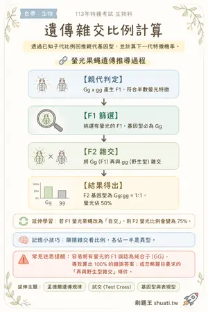 AI 記憶小卡