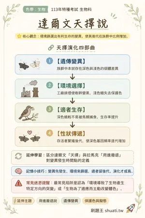AI 記憶小卡
