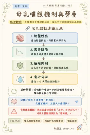 AI 記憶小卡