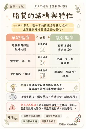 AI 記憶小卡