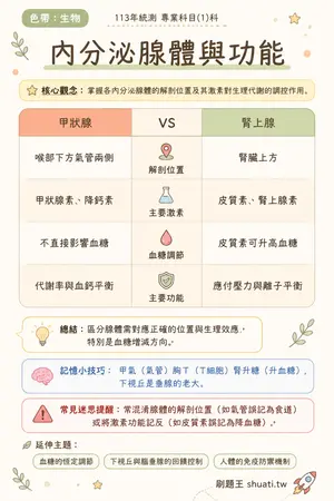 AI 記憶小卡