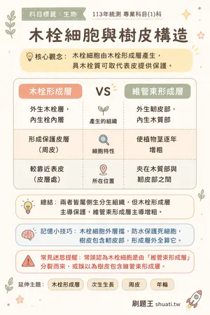 AI 記憶小卡