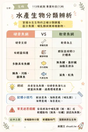 AI 記憶小卡