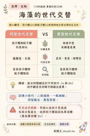 AI 記憶小卡