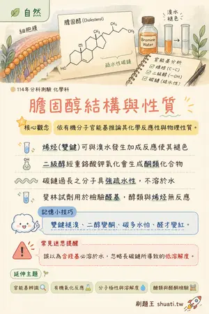 AI 記憶小卡