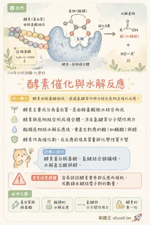 AI 記憶小卡