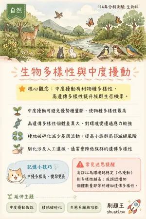 AI 記憶小卡