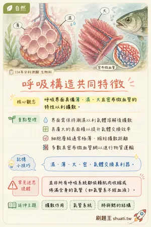 AI 記憶小卡