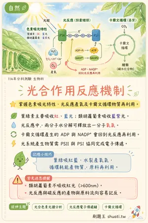 AI 記憶小卡