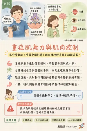 AI 記憶小卡