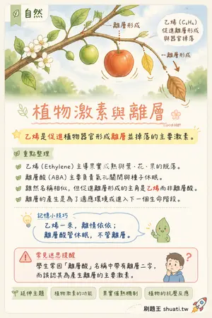 AI 記憶小卡