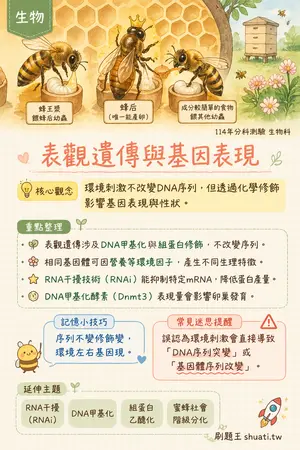 AI 記憶小卡