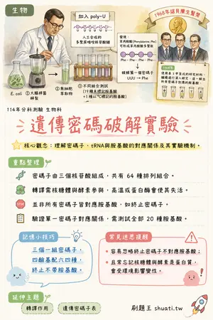 AI 記憶小卡
