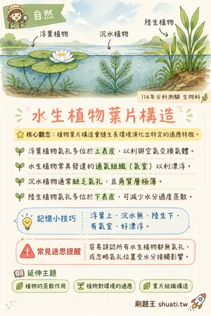 AI 記憶小卡