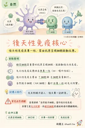 AI 記憶小卡