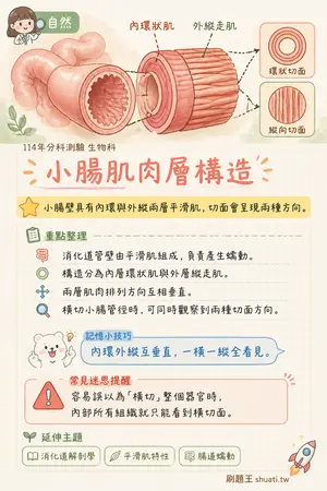 AI 記憶小卡