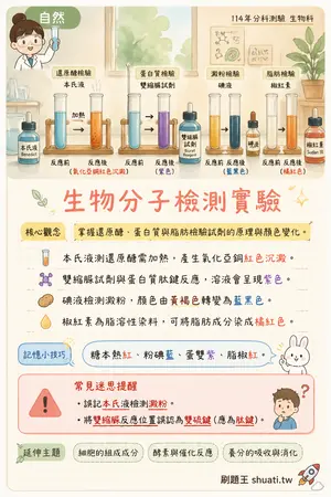 AI 記憶小卡