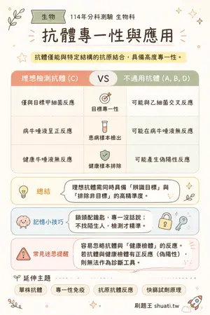 AI 記憶小卡