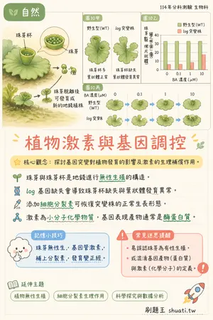 AI 記憶小卡