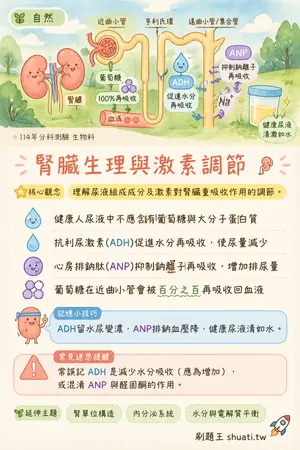 AI 記憶小卡