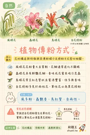 AI 記憶小卡