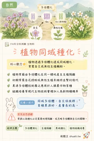 AI 記憶小卡