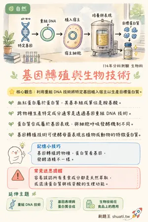 AI 記憶小卡