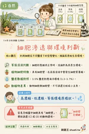 AI 記憶小卡