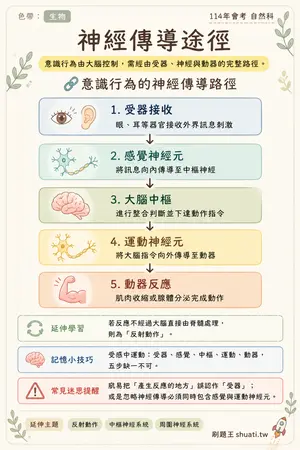 AI 記憶小卡