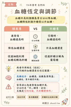 AI 記憶小卡