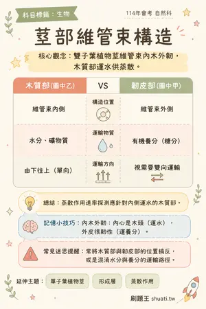 AI 記憶小卡
