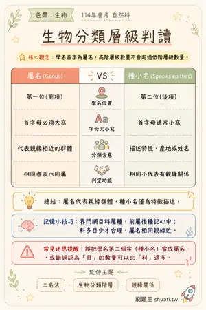 AI 記憶小卡
