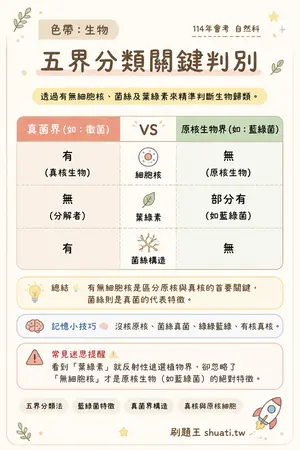 AI 記憶小卡