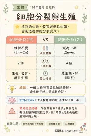 AI 記憶小卡