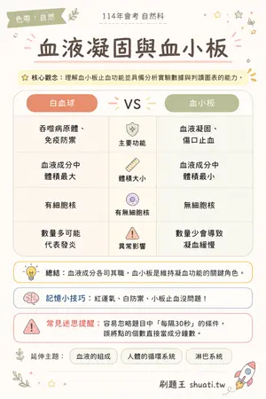 AI 記憶小卡
