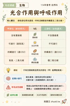 AI 記憶小卡