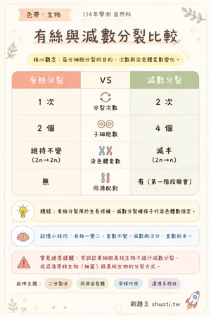 AI 記憶小卡