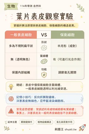 AI 記憶小卡