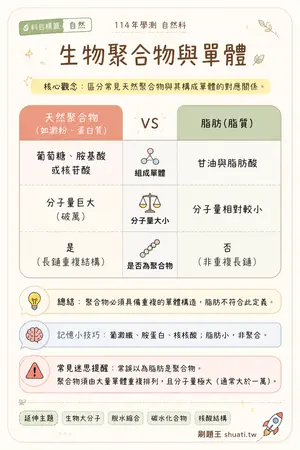 AI 記憶小卡