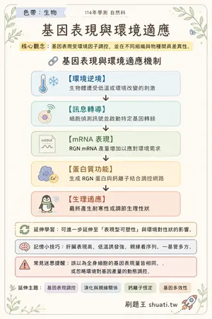 AI 記憶小卡