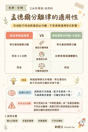 AI 記憶小卡