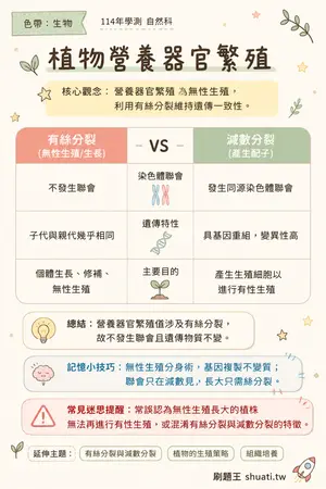 AI 記憶小卡