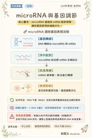 AI 記憶小卡