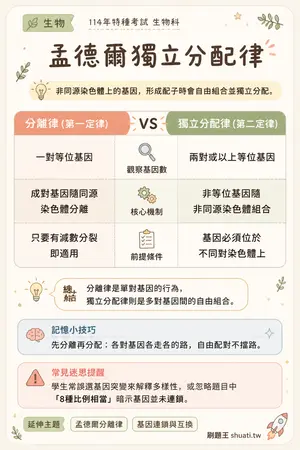 AI 記憶小卡
