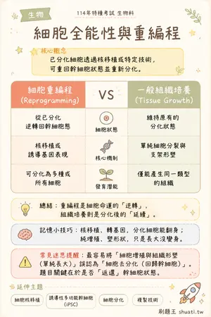 AI 記憶小卡