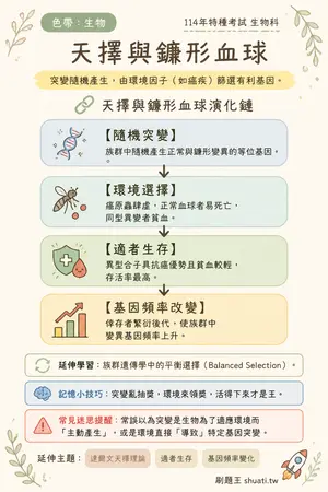 AI 記憶小卡